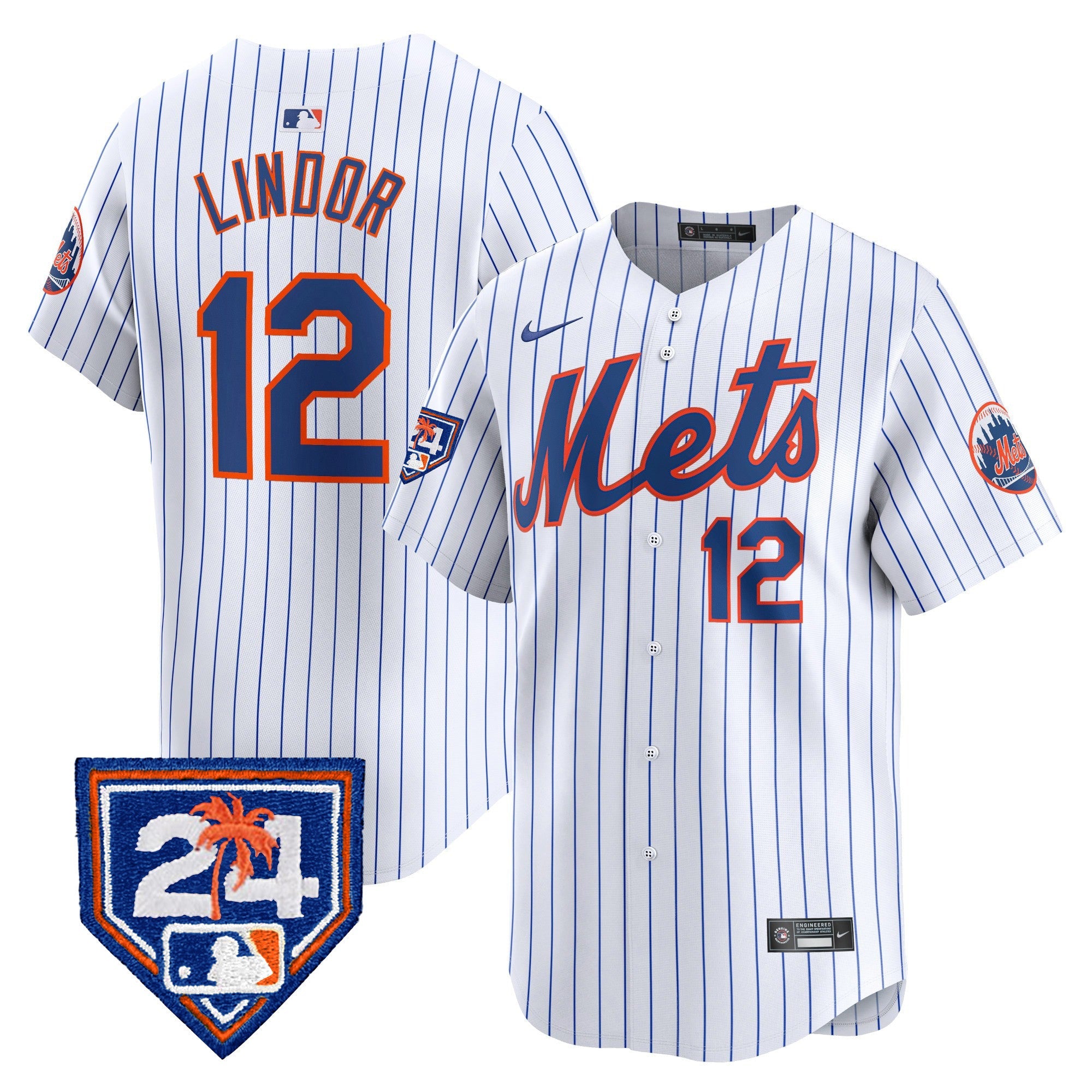 Men’s New York 2024 Spring Training Vapor Premier Limited Jersey V2