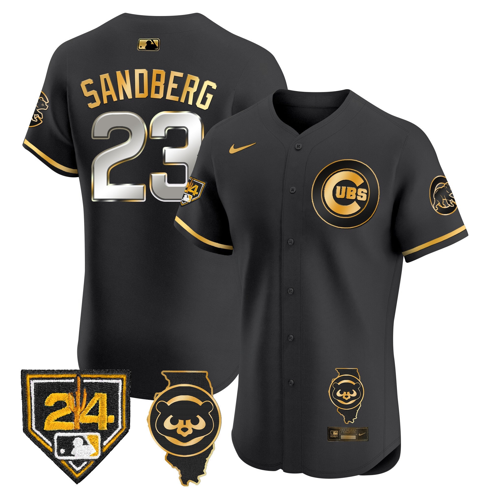 Men’s Chicago Spring Training & Illinois Patch Vapor Premier Elite Jersey