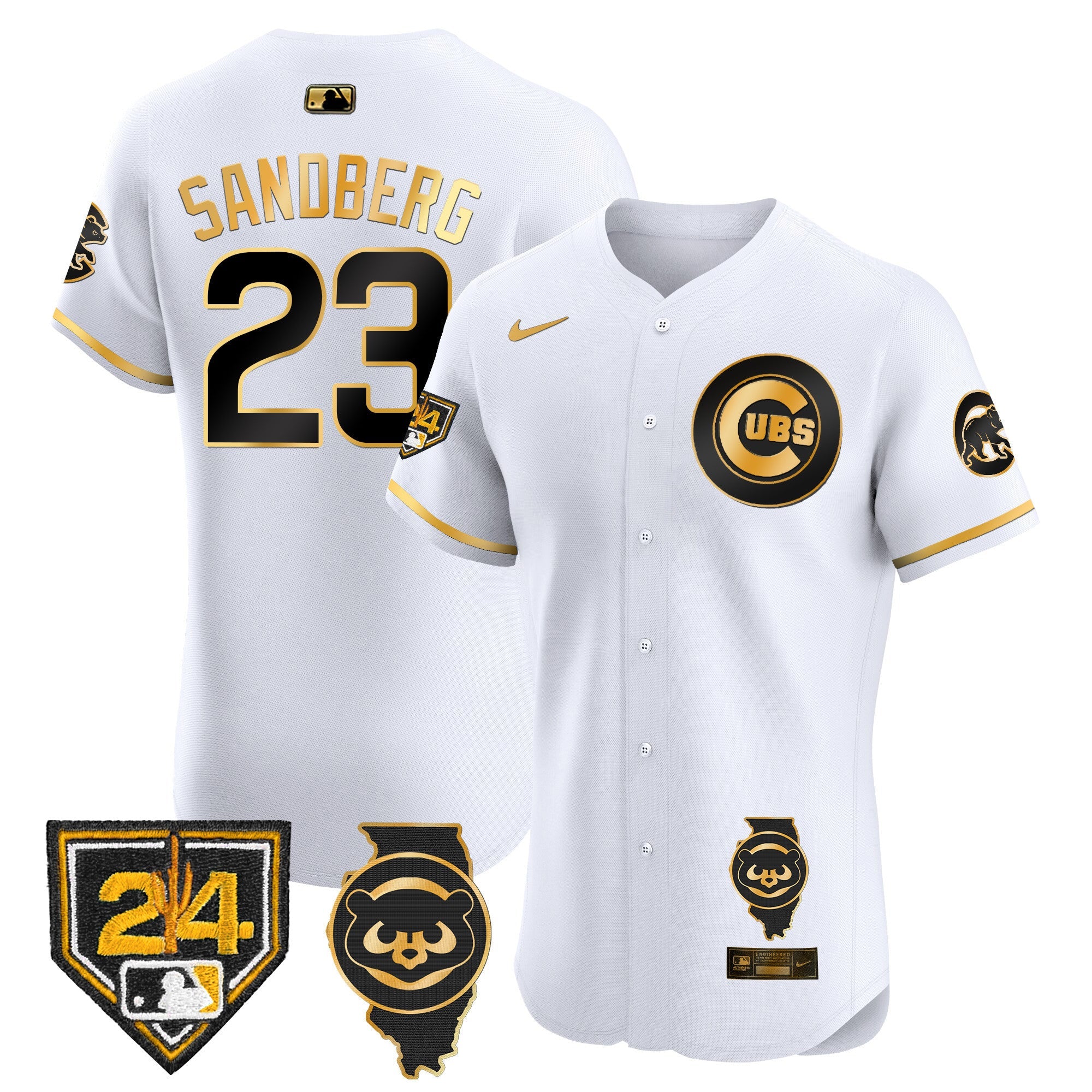 Men’s Chicago Spring Training & Illinois Patch Vapor Premier Elite Jersey