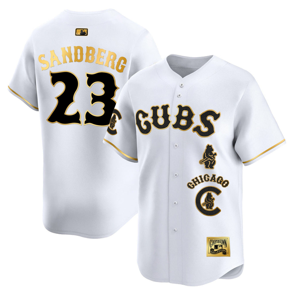 Men’s Chicago Special Vapor Premier Limited Jersey