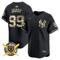 Men’s New York Armed Forces Day Vapor Premier Limited Jersey