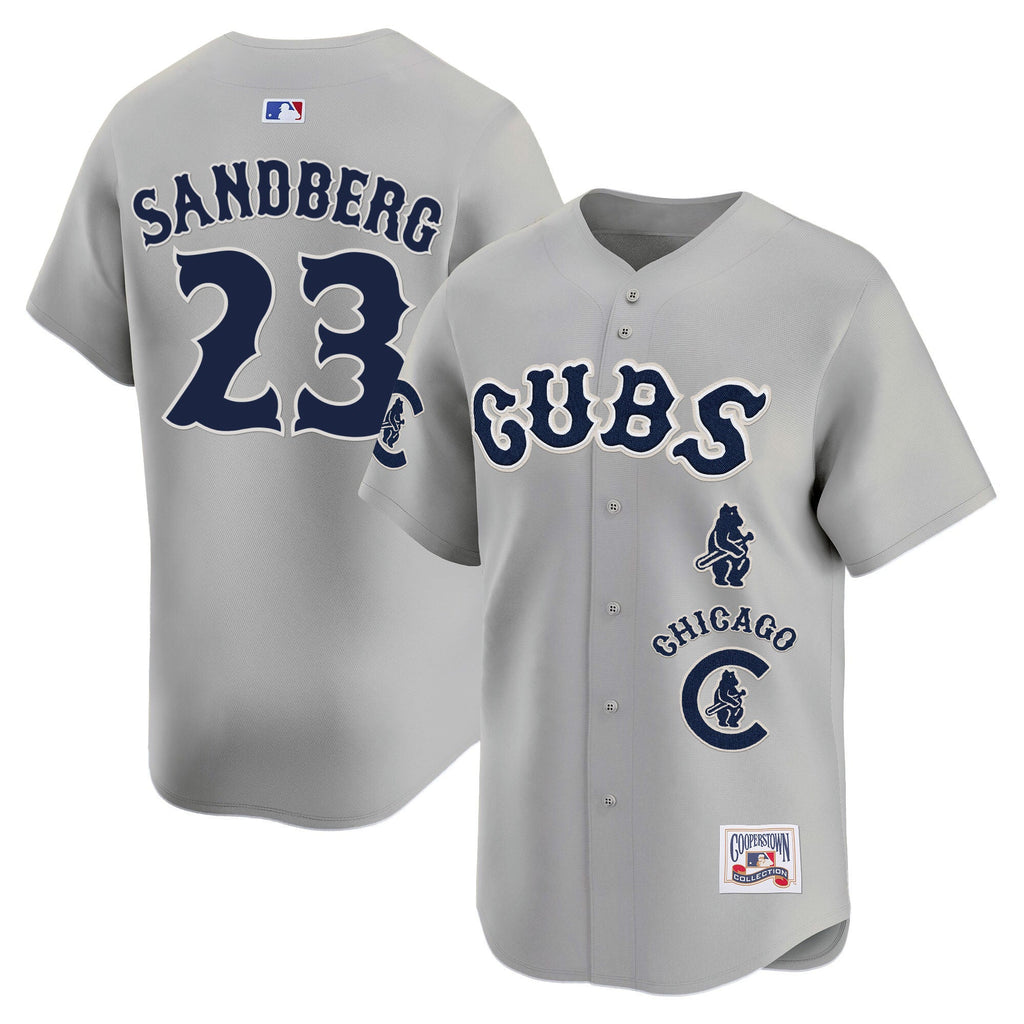 Men’s Chicago Special Vapor Premier Limited Jersey