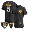 Men’s Chicago Spring Training & Illinois Patch Vapor Premier Elite Jersey