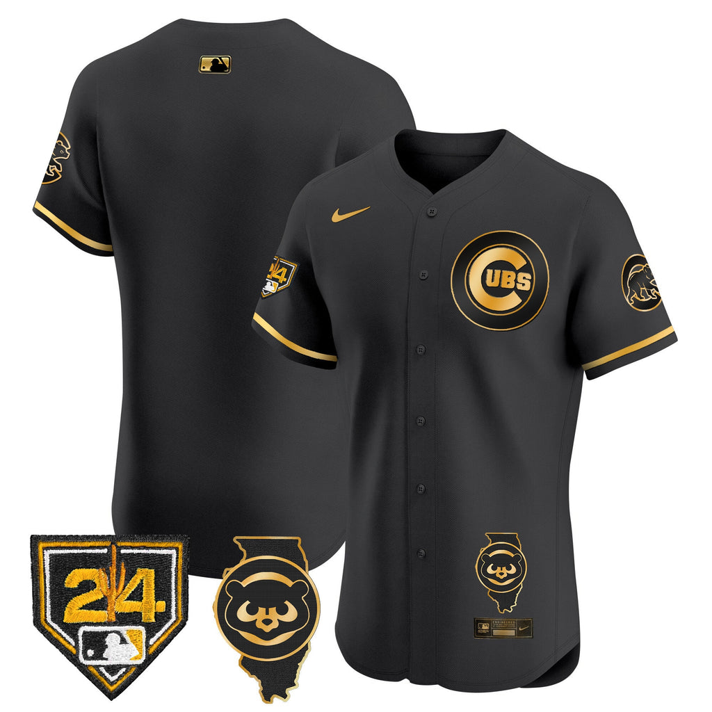 Men’s Chicago Spring Training & Illinois Patch Vapor Premier Elite Jersey