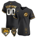Chicago Spring Training & Illinois Patch Vapor Premier Elite Custom Jersey