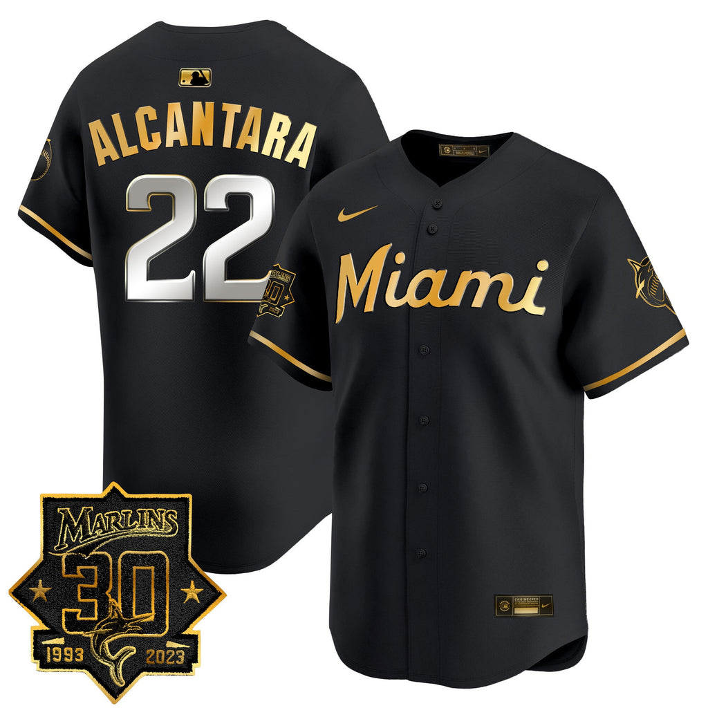 Men’s Miami 30 Seasons Anniversary Patch Vapor Premier Limited Jersey