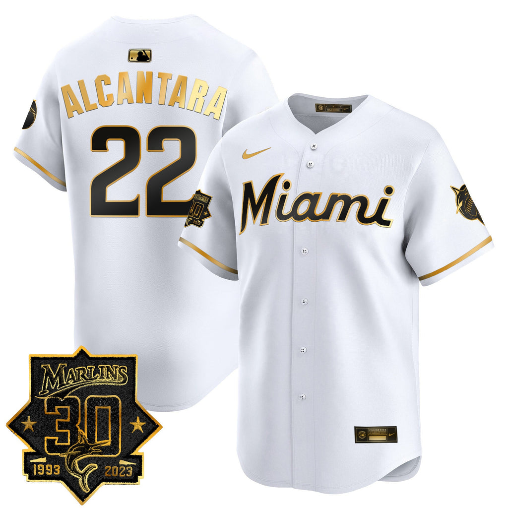Men’s Miami 30 Seasons Anniversary Patch Vapor Premier Limited Jersey